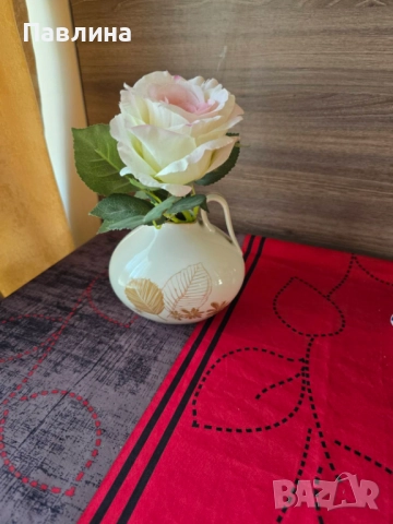 Немска порцеланова кана