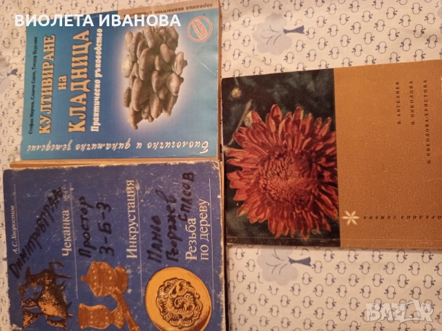 книги., снимка 7 - Други - 53214255