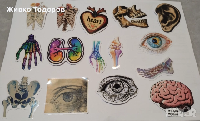 Stickers/Лепенки Punk Rock & Rock n Roll Bands (за 10 бр.), снимка 3 - Други - 44685906