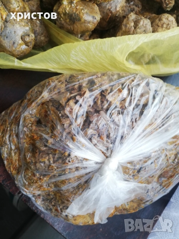 Прополис, снимка 3 - Пчелни продукти - 52520067