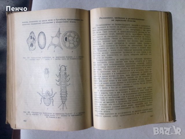 НАРЪЧНИК ПО ПЧЕЛАРСТВО - 1957г., снимка 5 - Специализирана литература - 26546295