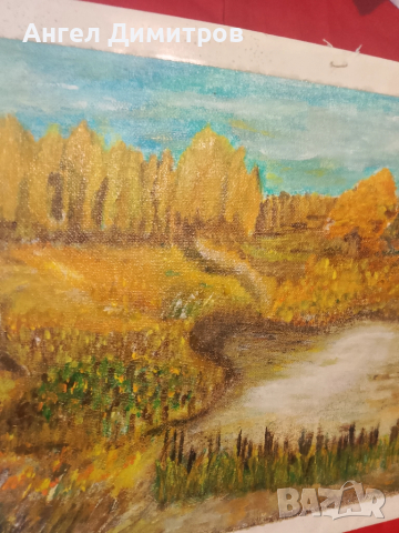 Маслена картина , снимка 3 - Картини - 51679390