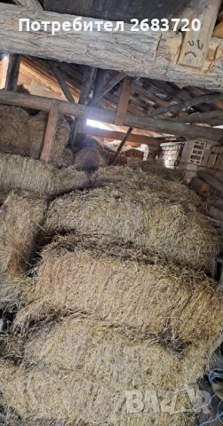 Бали сено 2.60 евро бр.