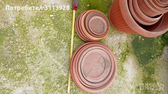 Саксии, снимка 4 - Саксии и кашпи - 53477686