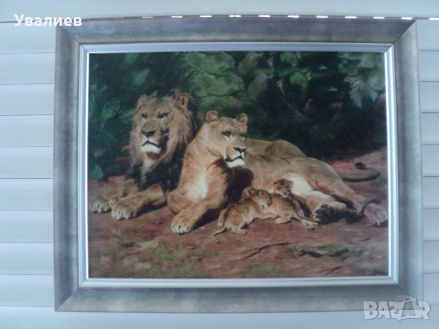 Картини на животни - репродукции, снимка 9 - Картини - 31437451