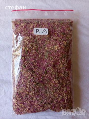 Продавам Сладък пелин-сух и разсад, снимка 3 - Разсади - 38536695