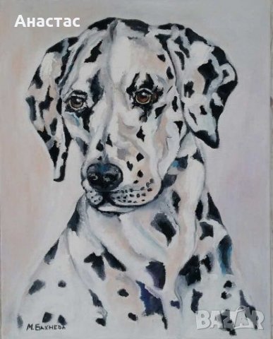 Далматинци , снимка 3 - Картини - 28320838