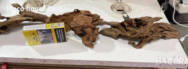 7 последни мангрови корена ,цена за всички 50 евро, снимка 3 - Оборудване за аквариуми - 53385277