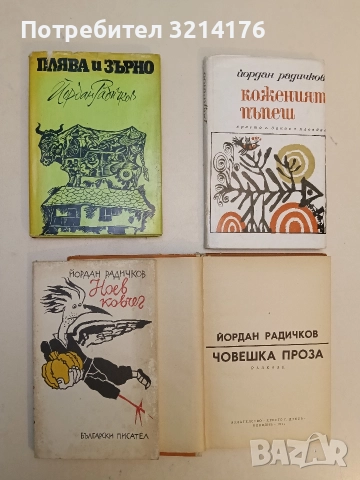 Водолей - Йордан Радичков, снимка 2 - Художествена литература - 52791372