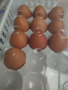 Продавам панер за яйца, снимка 1 - Аксесоари за кухня - 36503349