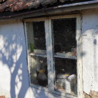 Продавам стара къща в село Церова Кория, снимка 8 - Къщи - 43045843