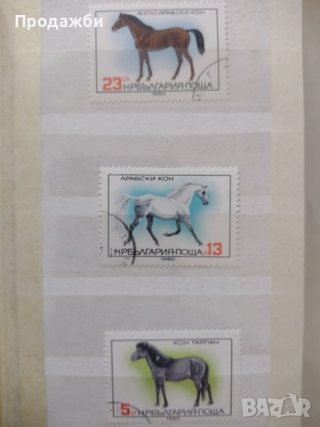 Колекция български пощенски марки с коне 1980 г., снимка 1