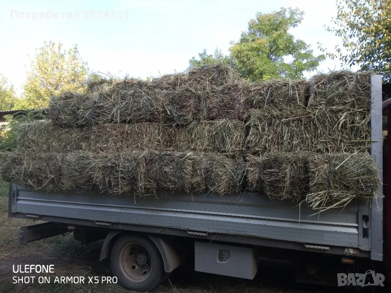 Ливадно сено и люцерна , снимка 1