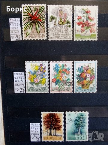 Белгия - флора, снимка 1