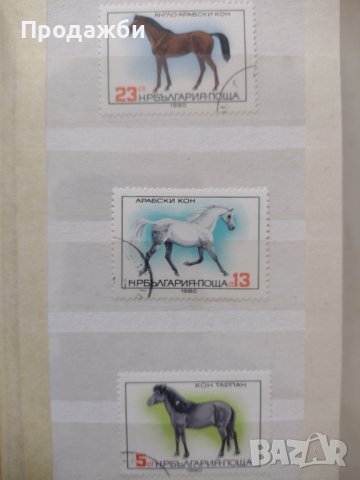 Колекция български пощенски марки с коне 1980 г., снимка 1 - Филателия - 40066681