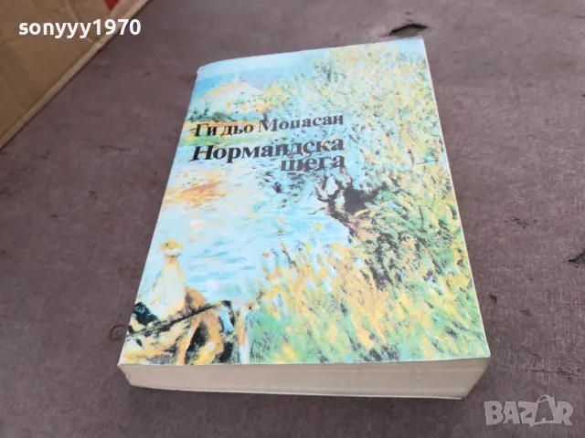 НОРМАНДСКА ШЕГА 2001251934, снимка 3 - Художествена литература - 48758199
