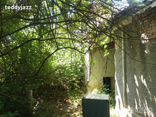 Къща с двор с.Ивански, снимка 3 - Къщи - 50662159