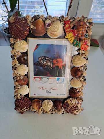 Рамка за снимка или картина с морски мидички, снимка 2 - Декорация за дома - 43265258
