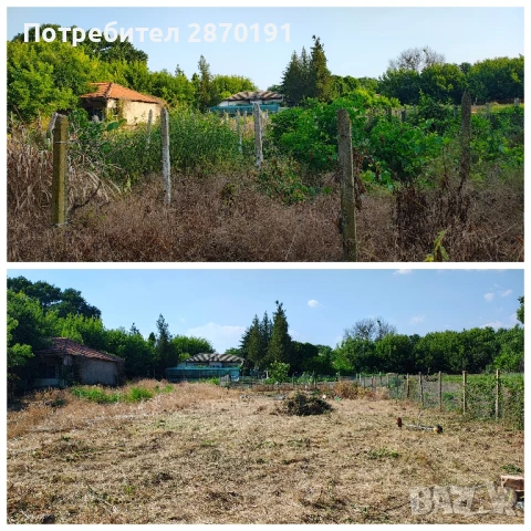 Косене на трева,храсти и др, снимка 3 - Други почистващи услуги - 50925240