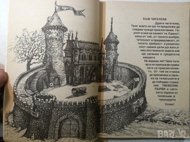 Замъкът на таласъмите - Колин Уолъмбъри, снимка 5 - Детски книжки - 32339778
