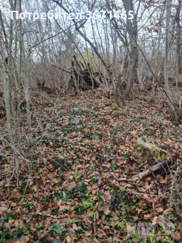 Парцел с. Кичево, снимка 4 - Парцели - 47050473