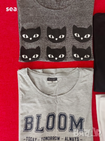 СЕТ тениски 7 бр. за 10 лв. H&M, Reserved, House, Sinsay, снимка 2 - Детски тениски и потници - 52444821