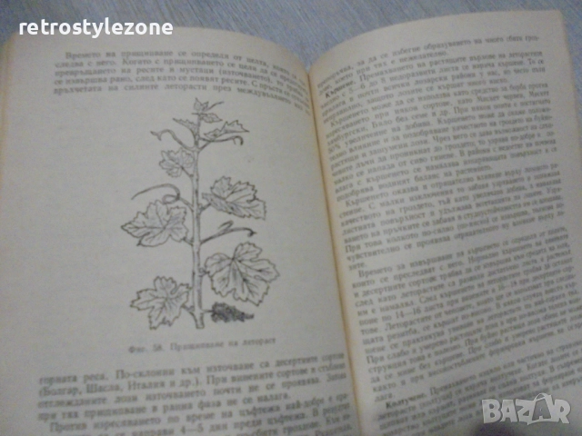 № 8416 стара книга "Практическо ръководство по лозарство"  автор - Митко Ников , снимка 4 - Специализирана литература - 52921400