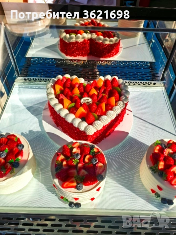 Хладилна витрина 270 литра, CM-900B, снимка 4 - Хладилни витрини и фризери - 52629068