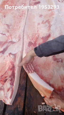 Прясна шарена сланина от бяла българка, снимка 2 - Прасета - 52914445