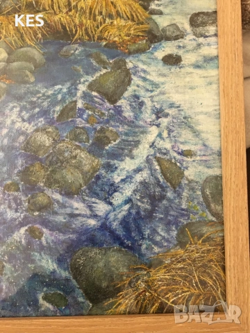 Витошка река