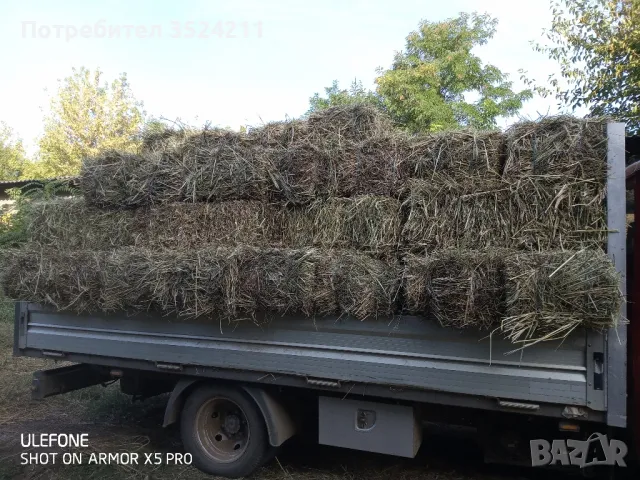Ливадно сено и люцерна , снимка 1