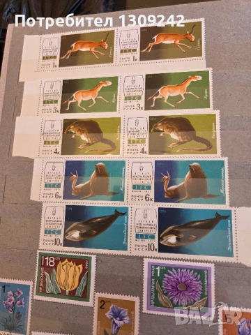 Класьори с пощенски марки, снимка 10 - Филателия - 52352149