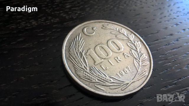 Монета - Турция - 100 лири | 1987г.