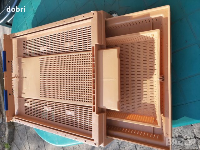 Дъно  за кошер , снимка 4 - Други животни - 27597270