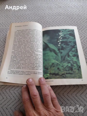 Книга Албум за растения и животни, снимка 4 - Специализирана литература - 53236498