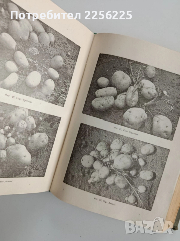Растениевъдство 1961г, снимка 3 - Специализирана литература - 52677991