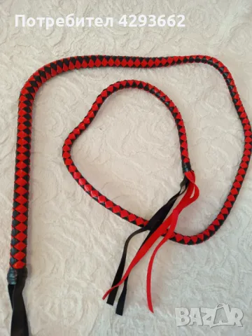 Прекрасен камшик бич, снимка 1