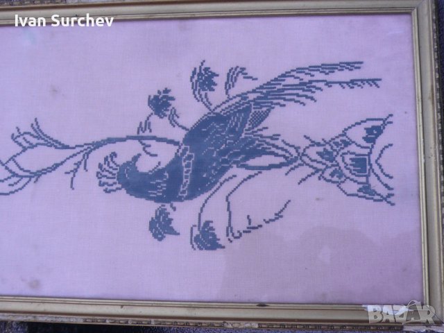  ПАУН-БРОДЕРИЯ със РАМКА 32СМ НА 48 СМ