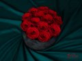 Естествени Вечни Рози в Кутия Кадифе / Уникален Подарък за Рожден Ден на Жена / Червени Вечни Рози