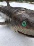 Риба Акула-Папие Маше 70 см, снимка 1 - Антикварни и старинни предмети - 44014780