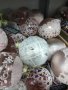 Стъклени коледни топки Christmas , снимка 5