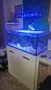 Соленоводен аквариум , снимка 1