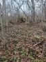 Парцел с. Кичево, снимка 4