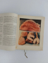 Руска готварска книга 1952г, снимка 6