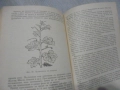 № 8416 стара книга "Практическо ръководство по лозарство"  автор - Митко Ников , снимка 4