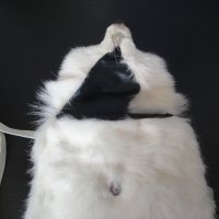 Нова луксозна кожена дамска чанта / раница, естествена кожа с косъм от бяла / полярна лисица, пух, снимка 7 - Чанти - 38707008