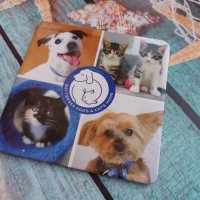 подложка за чаша от Англия с кученца и котенца, снимка 1 - Други стоки за дома - 40455171