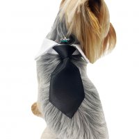 Вратовръзка за куче Официален костюм за куче Кучешки вратовръзки/папийонки Кучешка вратовръзка , снимка 10 - За кучета - 35995600