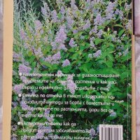 Градина, двор, земеделие..., снимка 3 - Градински мебели, декорация  - 44131547