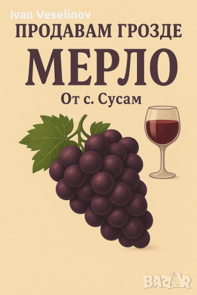 Продавам Грозде, снимка 1